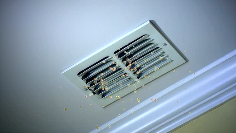 Best HVAC System Cleaning  in Ilion, NY